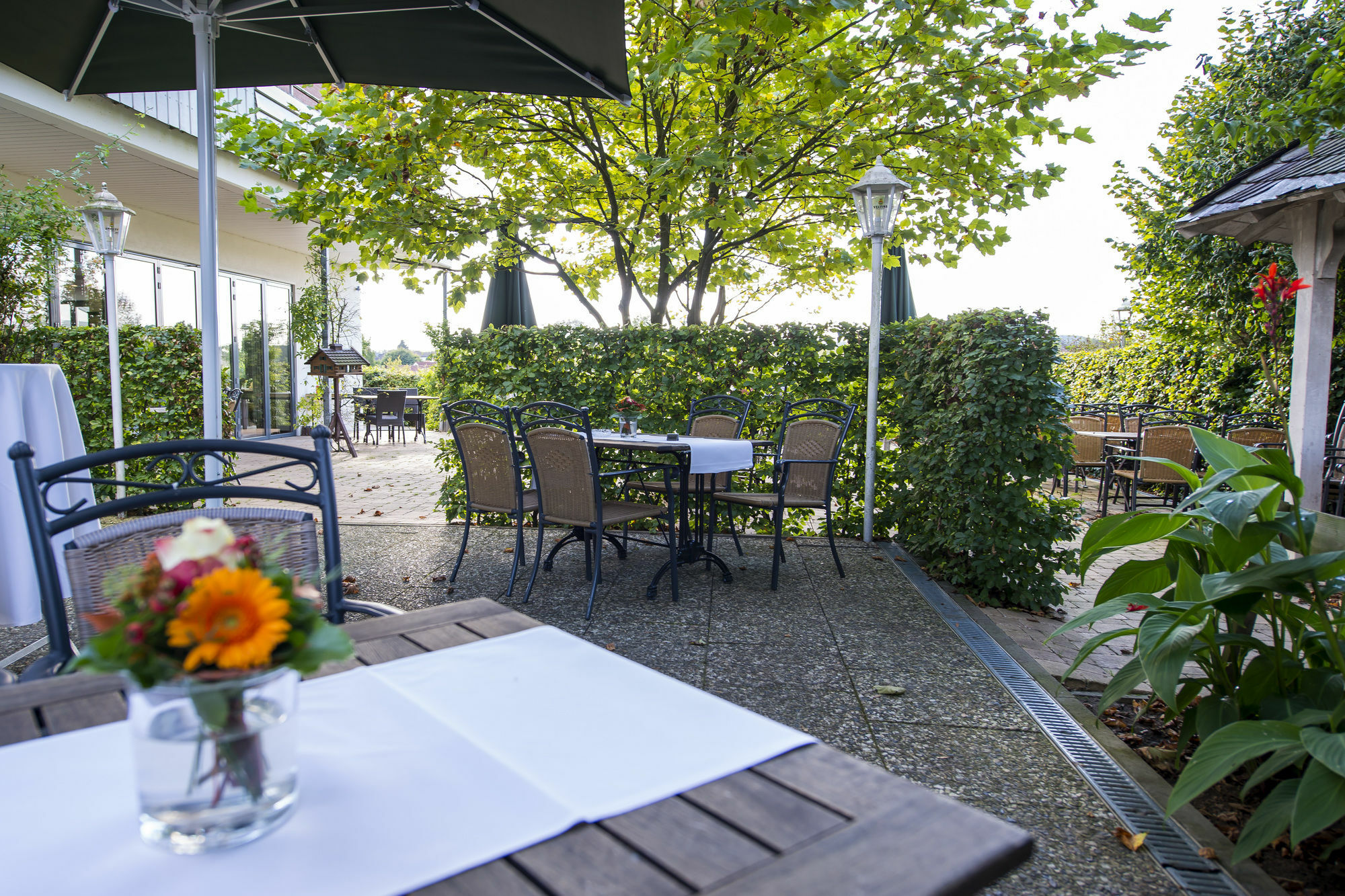 Landidyll Hotel Zum Freden Bad Iburg Exteriör bild